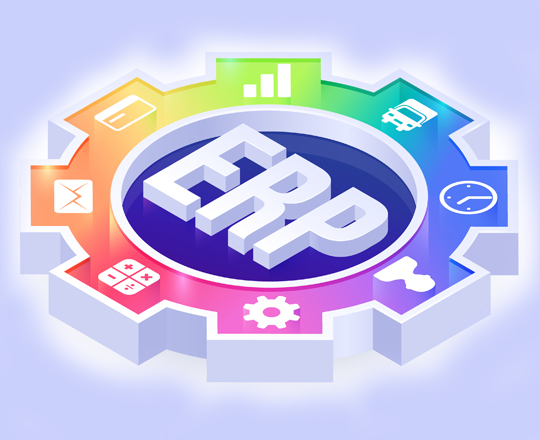 ERP Health Check